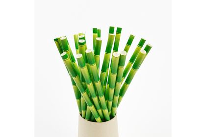 Straws Regular Bamboo