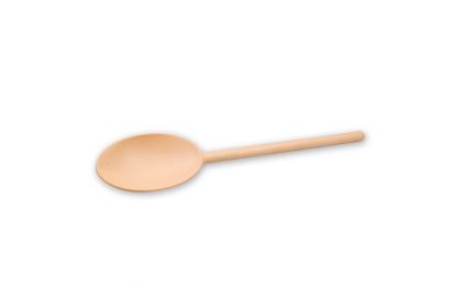 Polywood Spoon