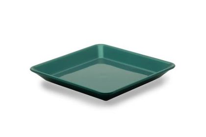 Square Plate Green