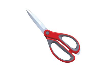 Kitchen Scissors