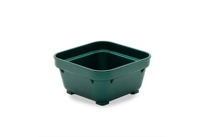 Square Bowl Green