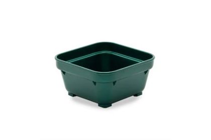 Bowl Green